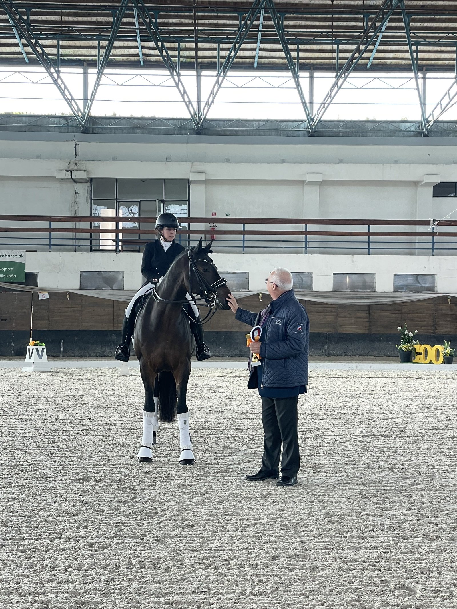 Honored Moments in Dressage
